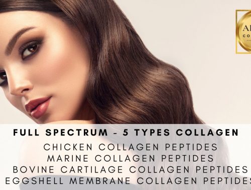 BARBARA LEBER ALL IN COLLAGEN FULL SPECTRUM COLLAGEN 5 TYPES COLLAGEN MULTI PEPTIDES. COLLAGEN TYPES I-II-III-V-X. FOR OUR HEALTH AND BEAUTY